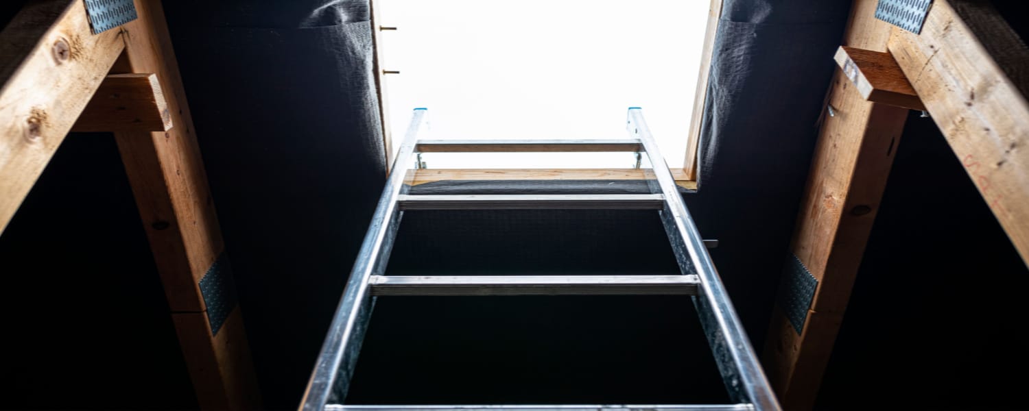 Roof Hatch Ladder Naperville